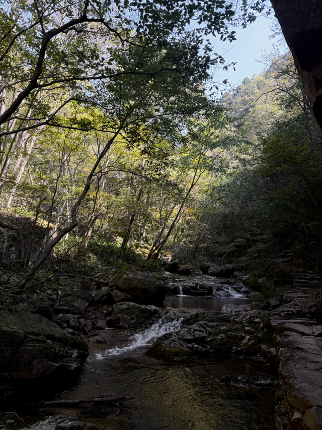 浙西天池关闭？别慌！吴越古道+桃花溪三尖徒步攻略来“救场”～
