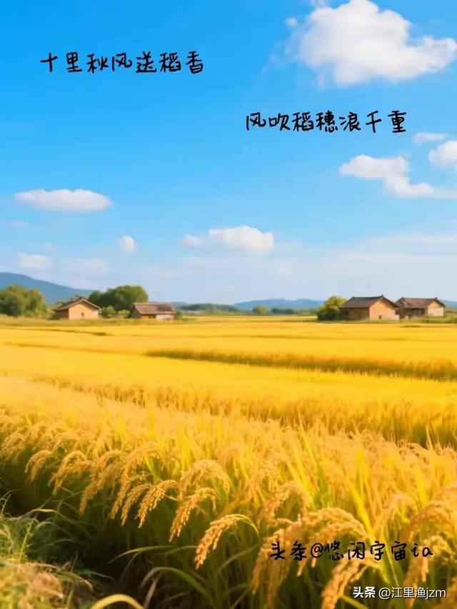 田园风光