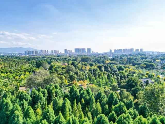 为何一到弥勒就快乐？答案揭晓…