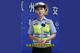 车牌有5种颜色，怎么来区分？TN车牌是什么意思？交警告诉你答案图片