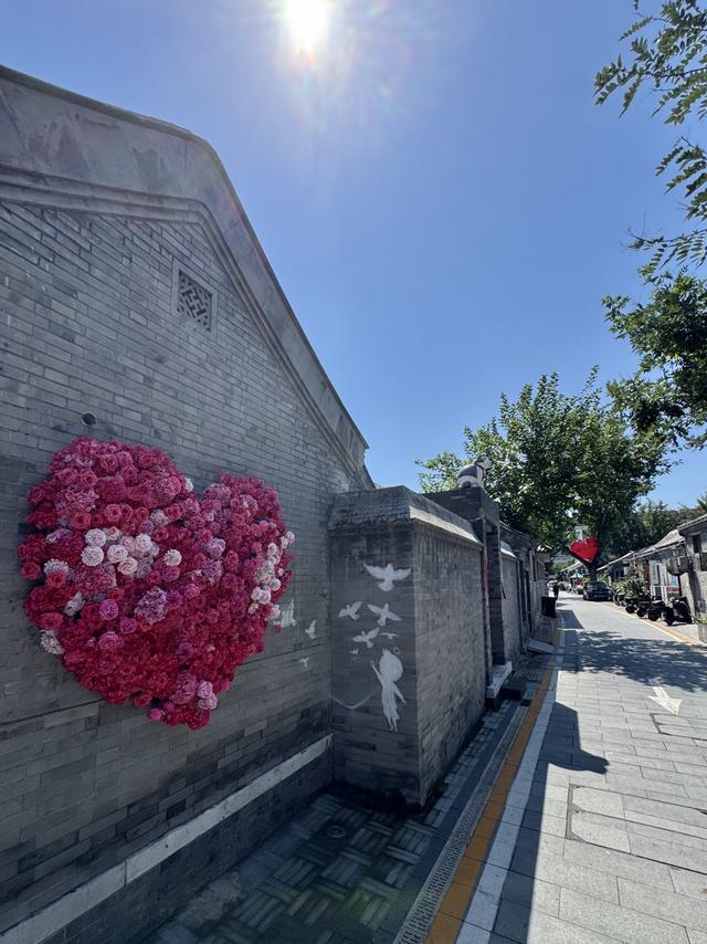 胡同不一“Young” | 烂缦胡同——青砖灰瓦间的共生烟火