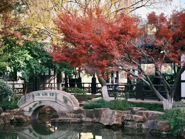 逛起来！8小时10个公园！