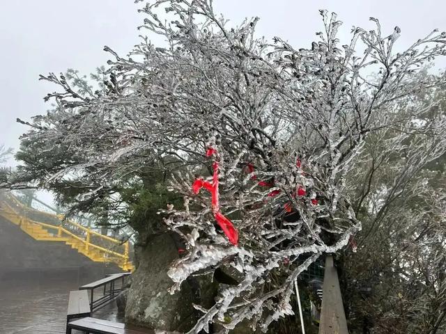 一侧浓彩层林尽染，一侧冰雪世界！南北分界线在此刻具象化！