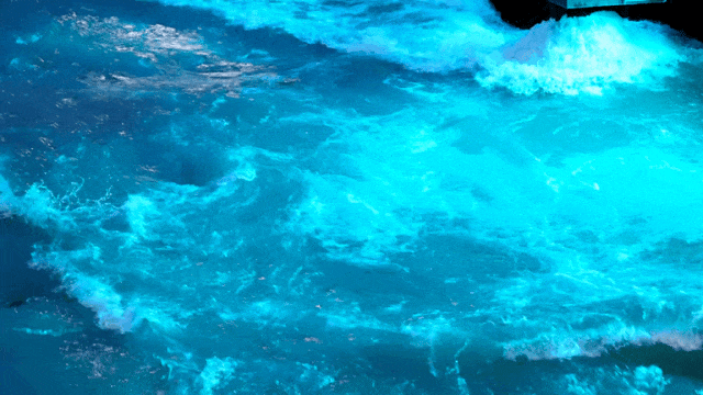 美疯！我就说初冬的都江堰有真东西！