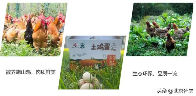 8大线路发布！GO~去延庆四季花海