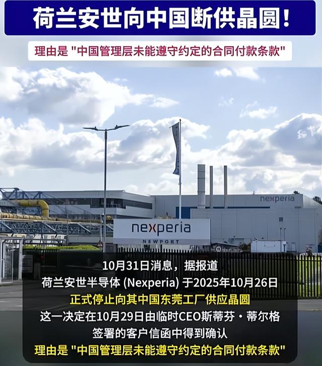 稀土半导体博弈反转！欧盟向中方递交申请，压力之下荷兰认怂了？