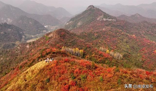 初冬“调色盘”已上线！古林坪红叶进入最佳观赏期，快来打卡！