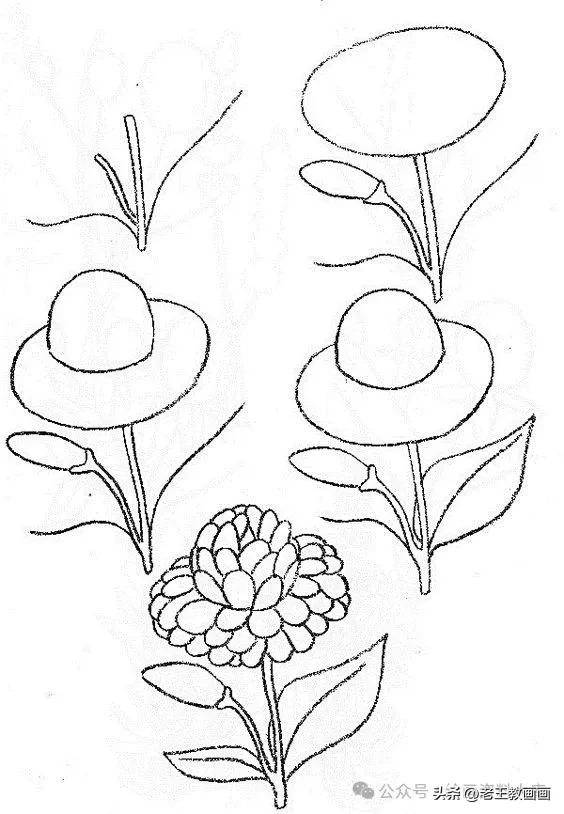 有手就能画！花卉简笔画教程