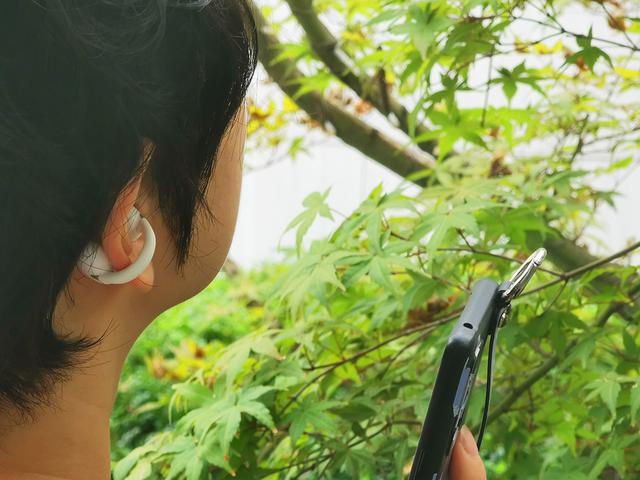 雷登A7开放式蓝牙耳机评测：音质不俗，更有AI加持！