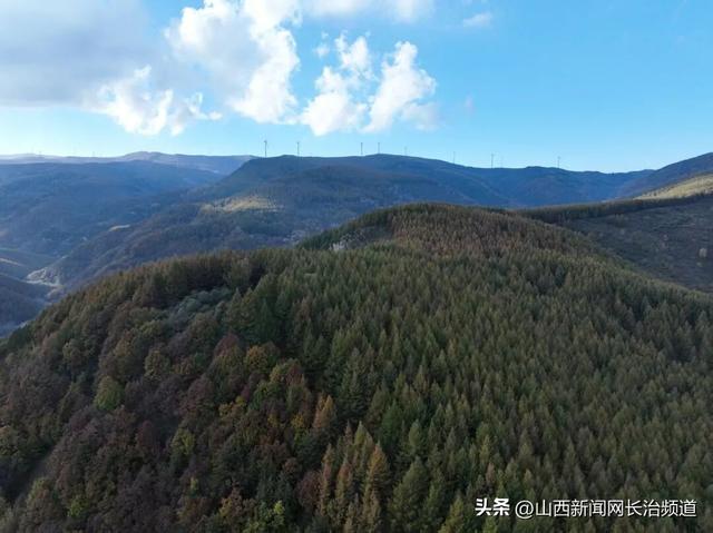 沁源的秋：一半湛蓝，一半绚烂