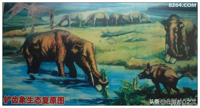 山东行游影记（27）—平邑天宇自然博物馆（二）
