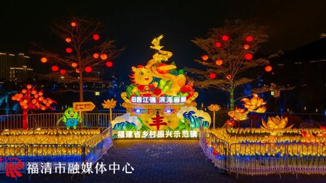 “夜游”江镜！花灯、垛田、黑脸琵鹭……邂逅“绿富美”田园风！