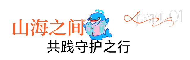 累计捐赠225台AED！做公益，招商蛇口超“会”的