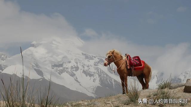 在喀什,留了一天去帕米尔。