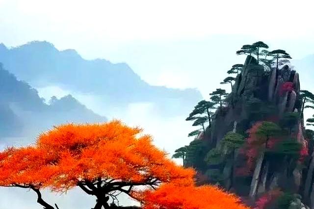 心理学家：出门后反复检查门锁！其实是一种精神异常