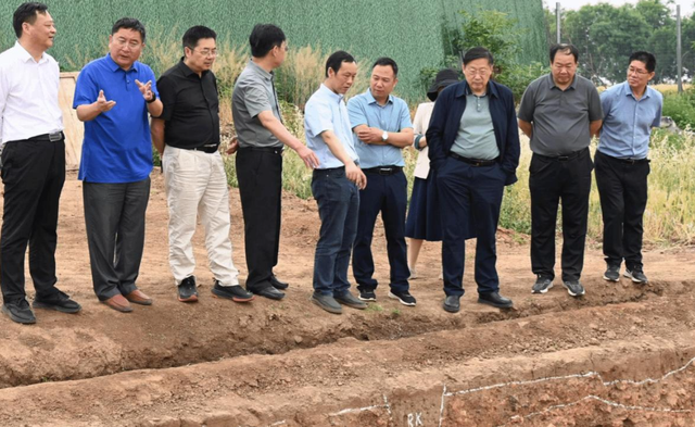 聚焦河南八里岗遗址，解码 58 例古人基因组，揪出 5000 年前文明线索