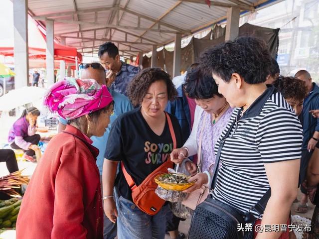 赏美景、尝美食……公交专线带您畅游晋宁