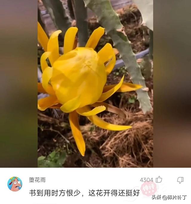 网友神回复：我已经很努力地炫富了，到了你们那里还是觉得我装穷