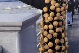 “显眼包”身披面包喂海鸥引关注，视频创作者回应图片