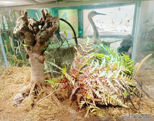 五九时节，观扬州大运河博物馆（下）