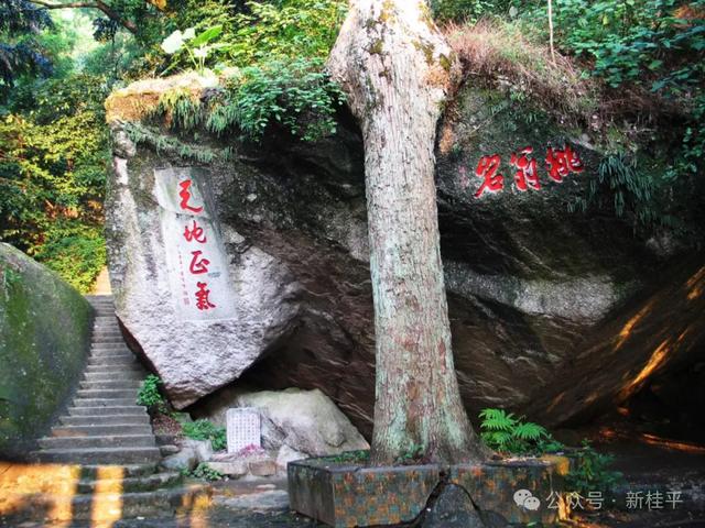 桂平半程马拉松选手看过来！文旅福利已就位，三大景点等你打卡～