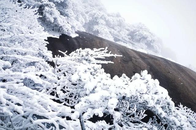 大寒雪落灵山！冬日限定美景已陆续上线