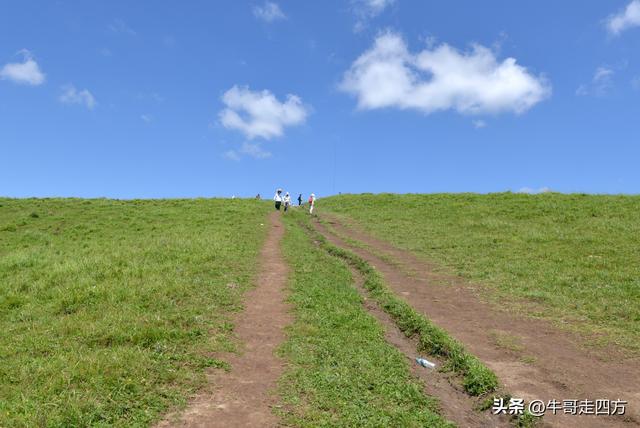 河北麻田岭（上）：绿野铺毡接云影、风轮伴路探山魂