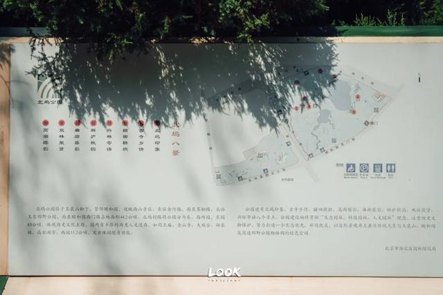 绝对不可以,错过这片金秋稻田