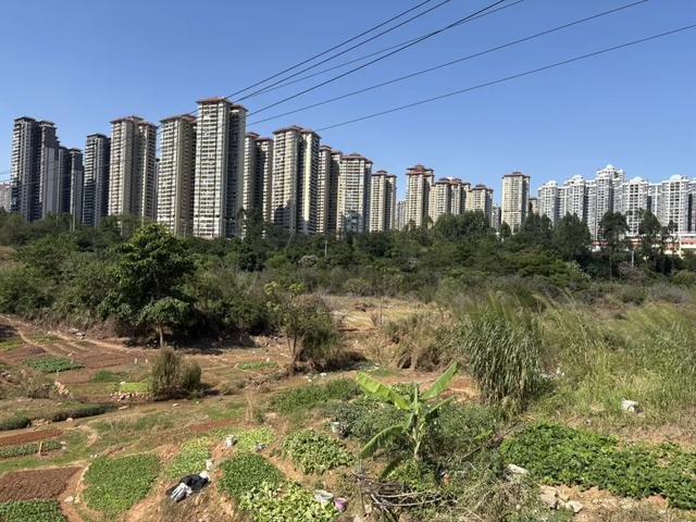 五象湖「最强景观」火了，公告成了废纸