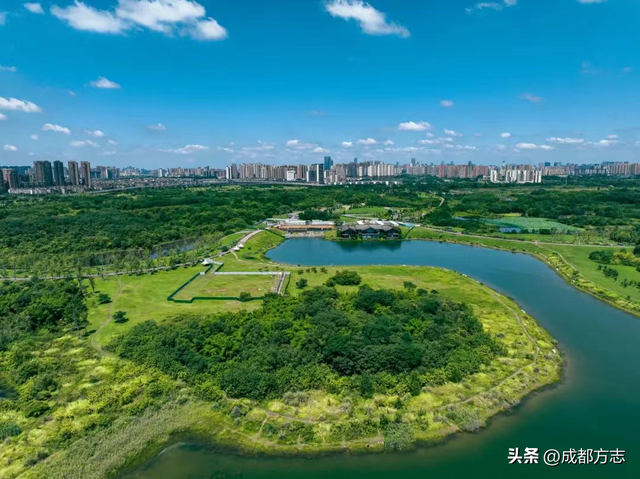 成都藏了个鸟类天堂？200多种精灵在此安家！
