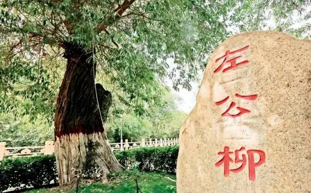 没有左宗棠，今天我们去新疆旅游，得办护照