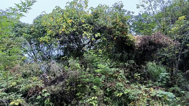 两性关系，50岁后的女人不怕你占便宜，就怕你做到这一步