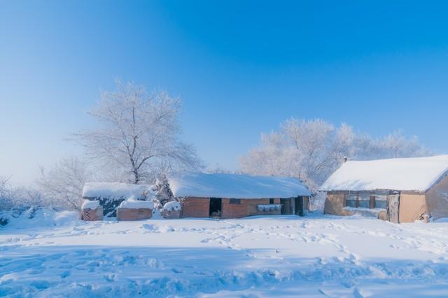 “不怕重阳阴一天，就怕重阳一天晴”，今日重阳，晴天有啥预兆？