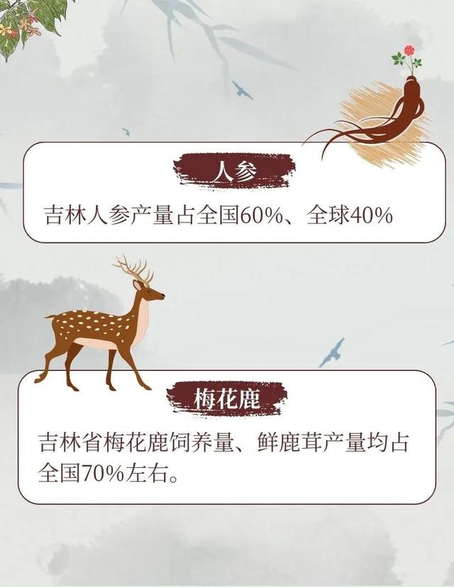首秀！8月27日至31日举办