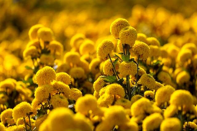 河南省21个县级市之孟州市