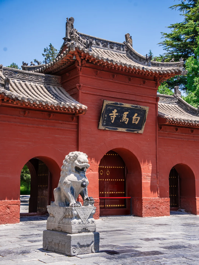 河南黑马洛阳：郑州没料到，开封没料到今成龙门石窟文化旅游名城