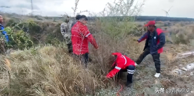辽宁四岁女童已能走路，爸爸向大山道谢，场面尴尬，恶心的事发生