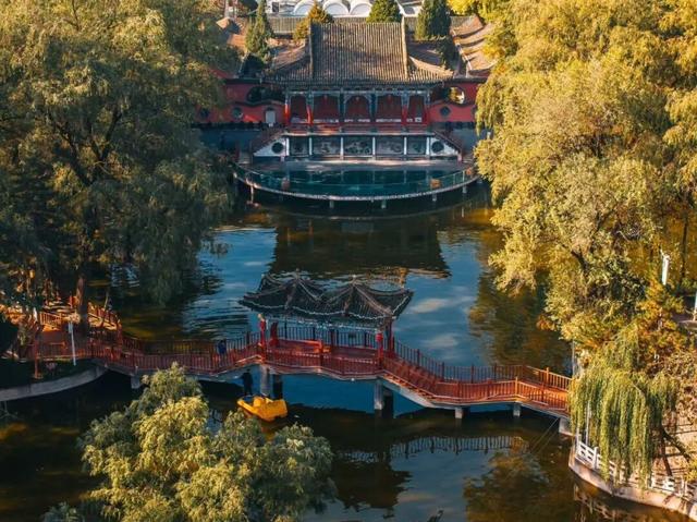 冬日限定｜临夏的初冬，是写满诗意的“人间治愈”