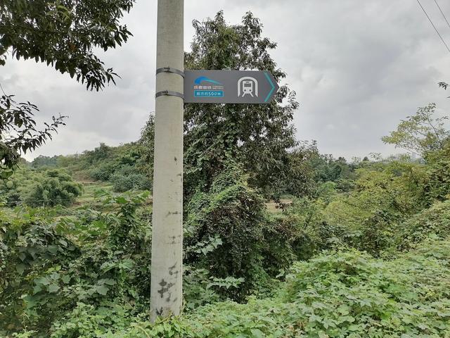 双流／华阳／仁寿苏码头历史资料