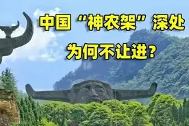 神农架真有野人吗？为什么会有“神农架深处不允许前进”的说法图片