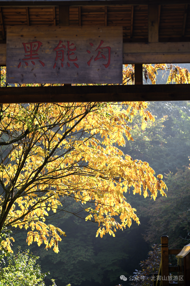 宝子你听我说，近期天气好、红叶美，光雾山可以冲了!