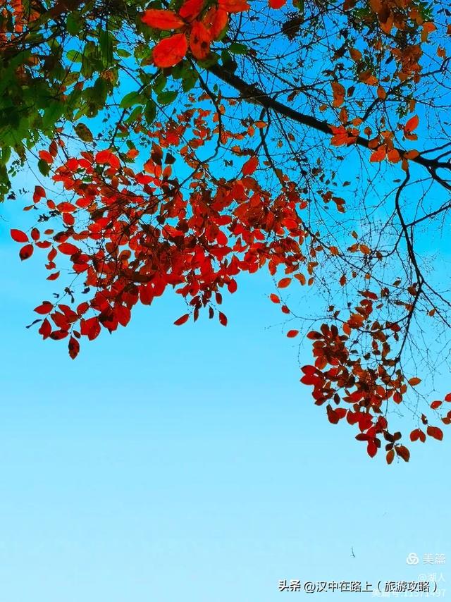 汉中汉江源:藏着汉文化密码秘境美成诗画!