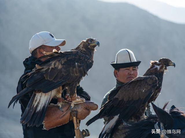 南疆寻秋--富士GFX100 II刻画南疆的雪山、沙漠与胡杨