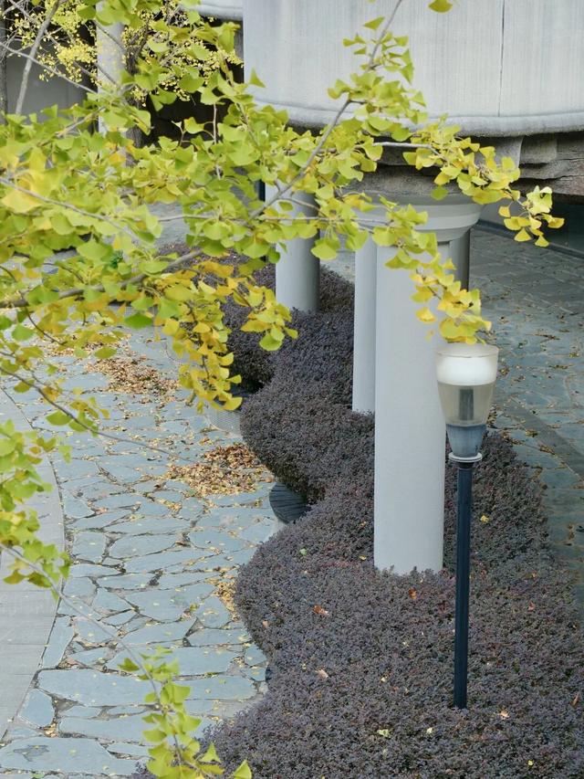 周末N次方 | 打开这份江汉赏秋图鉴→