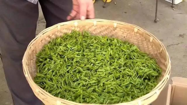 [贵州 六盘水市（盘州市）]