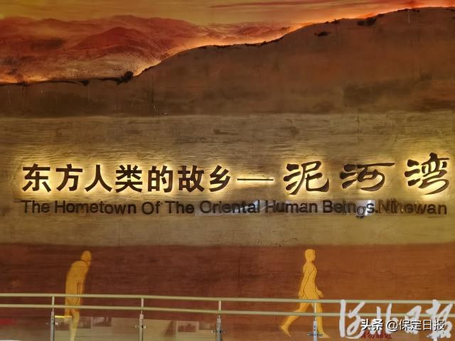 假期不宅家丨博物馆里有什么？这些神奇“宝藏”，等你探秘→