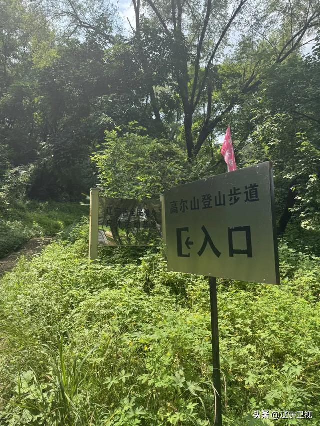 抚顺一日游小众路线曝光!90%的人没玩过的宝藏玩法→