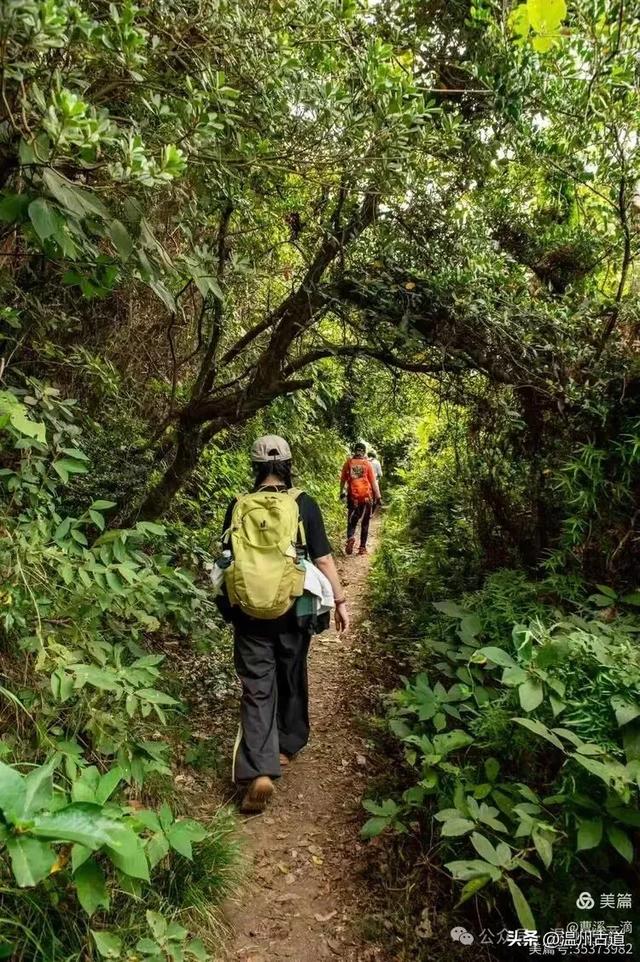尽享无尽野趣!来浙里,开启一场跨越山与海的秘境徒步之旅!