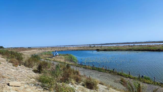 包头天下黄河第一村，靠着黄河边，风景还是不错的