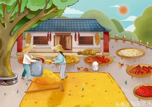 守家赚钱的法子：夫妻俩开这3个小厂，比打工强，还省心